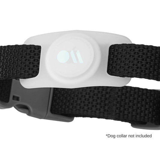 Case-Mate - AirTag Case for Dog Collars (Glow in the Dark) - AirTag Case