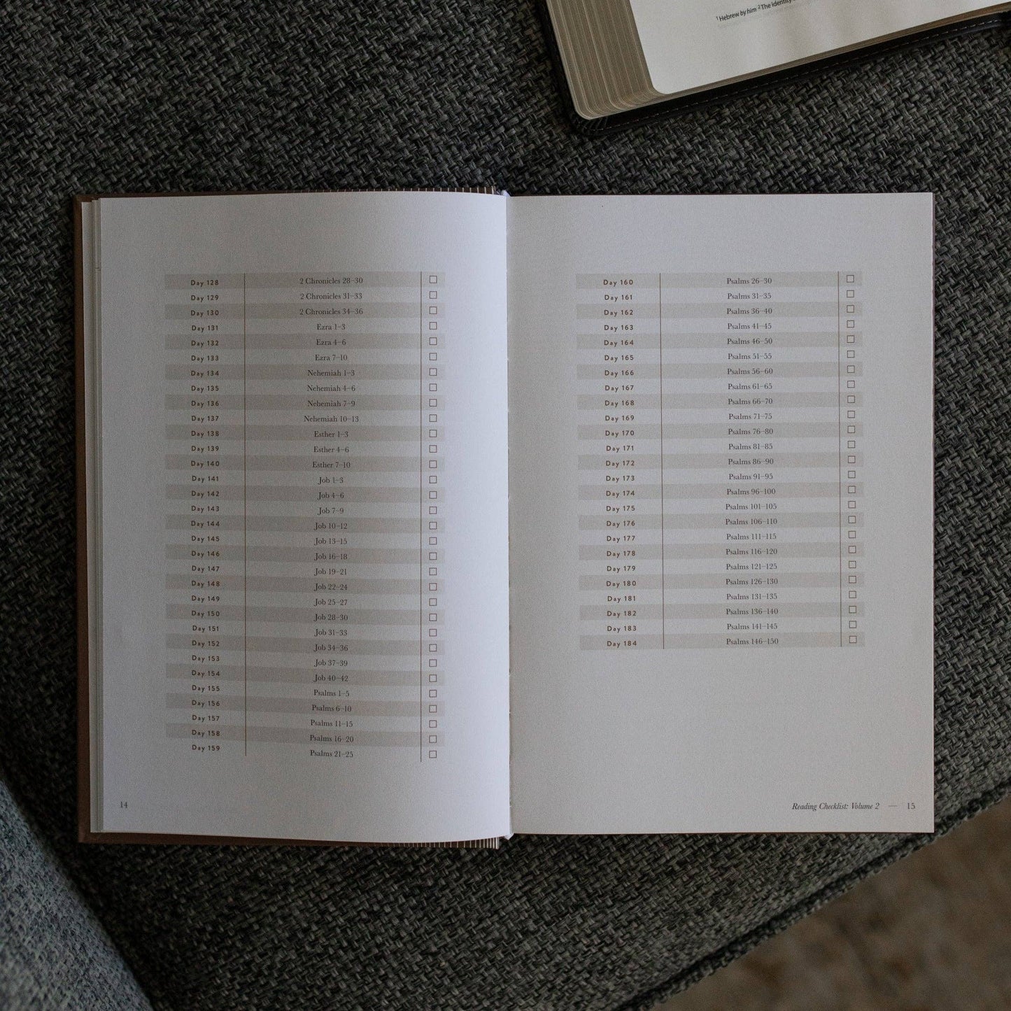 The Daily Grace Co - A Year in the Bible | Men's Study | 365 Days of Discovering the Beauty of Jesus from Genesis to Revelation | Volume 2