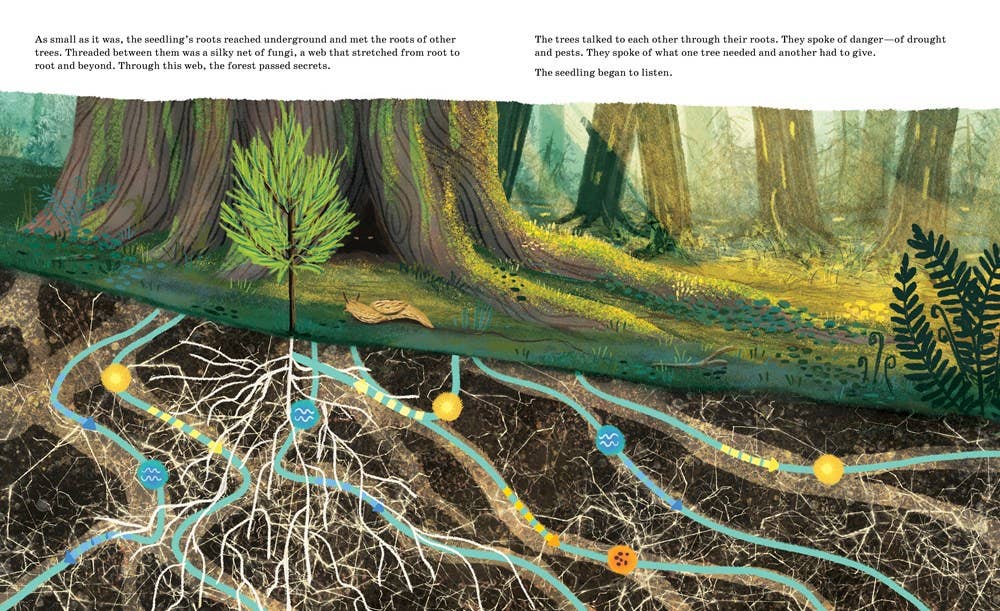 Sourcebooks - Listen to the Language of the Trees (TP)