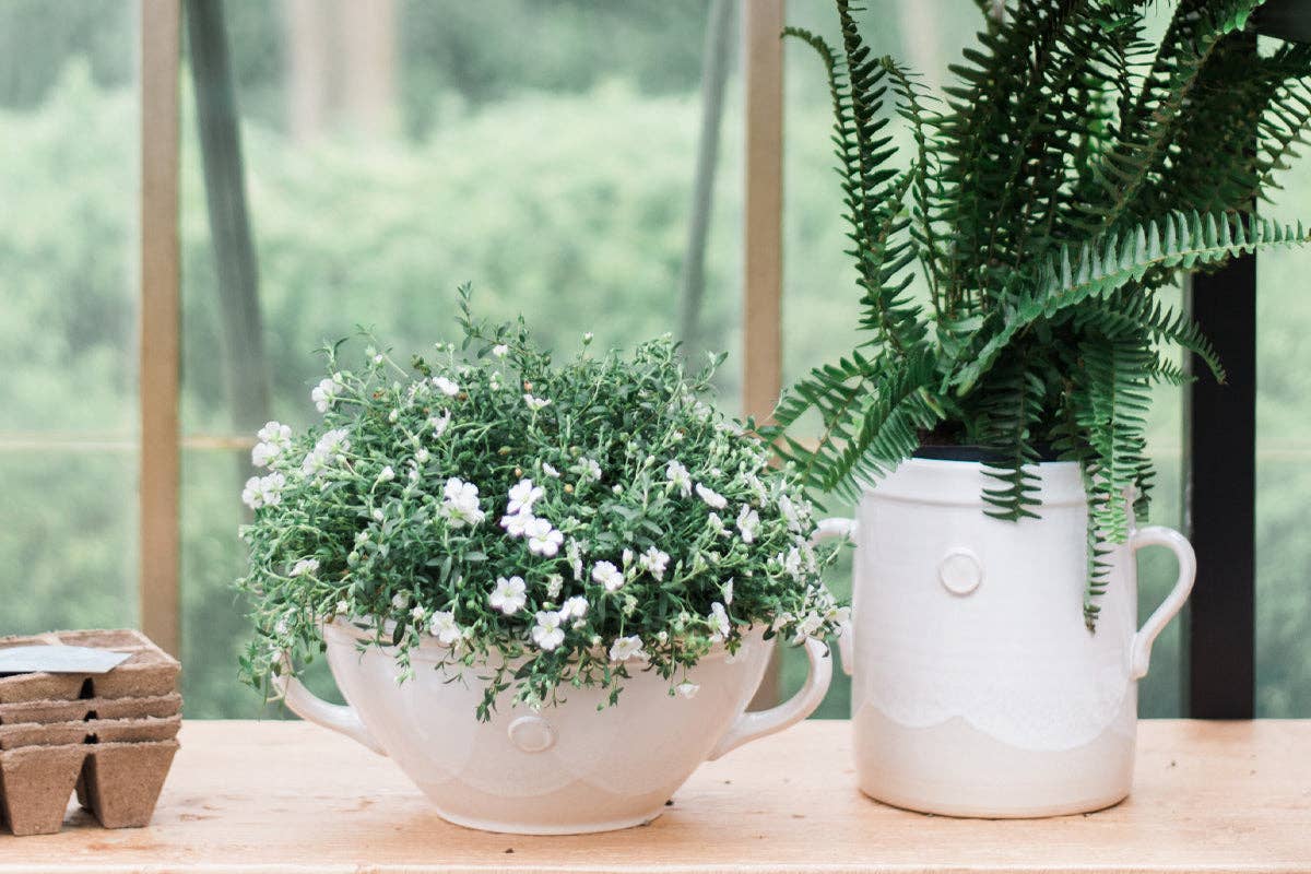 etúHOME - White Artisanal Handthrown Ceramic Utensil Crock w/ Handles