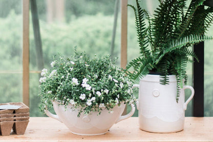 etúHOME - White Artisanal Handthrown Ceramic Utensil Crock w/ Handles