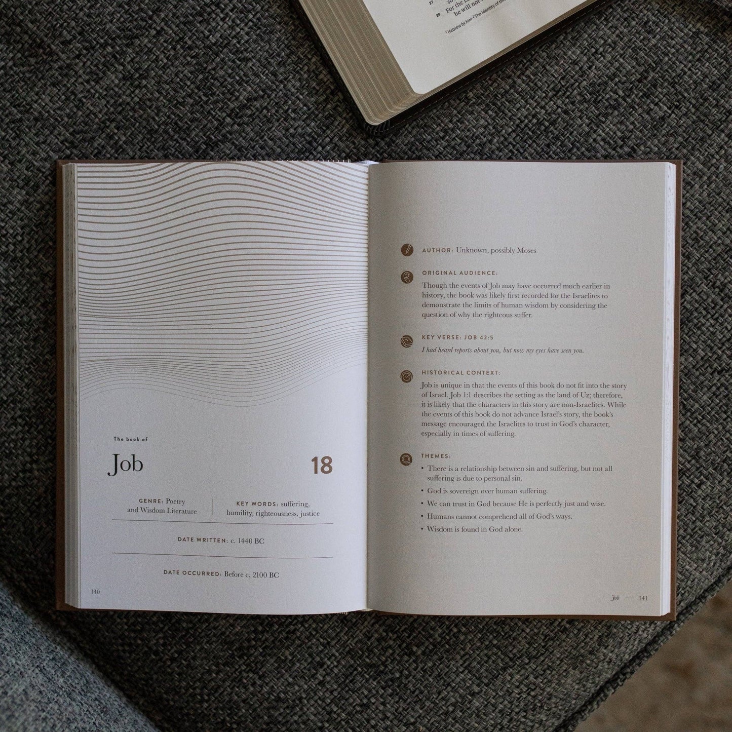 The Daily Grace Co - A Year in the Bible | Men's Study | 365 Days of Discovering the Beauty of Jesus from Genesis to Revelation | Volume 2