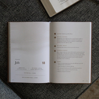 The Daily Grace Co - A Year in the Bible | Men's Study | 365 Days of Discovering the Beauty of Jesus from Genesis to Revelation | Volume 2