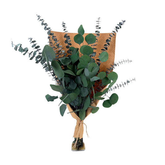 Andaluca - Silver Dollar & Baby Eucalyptus 8 ounce Preserved Bundle