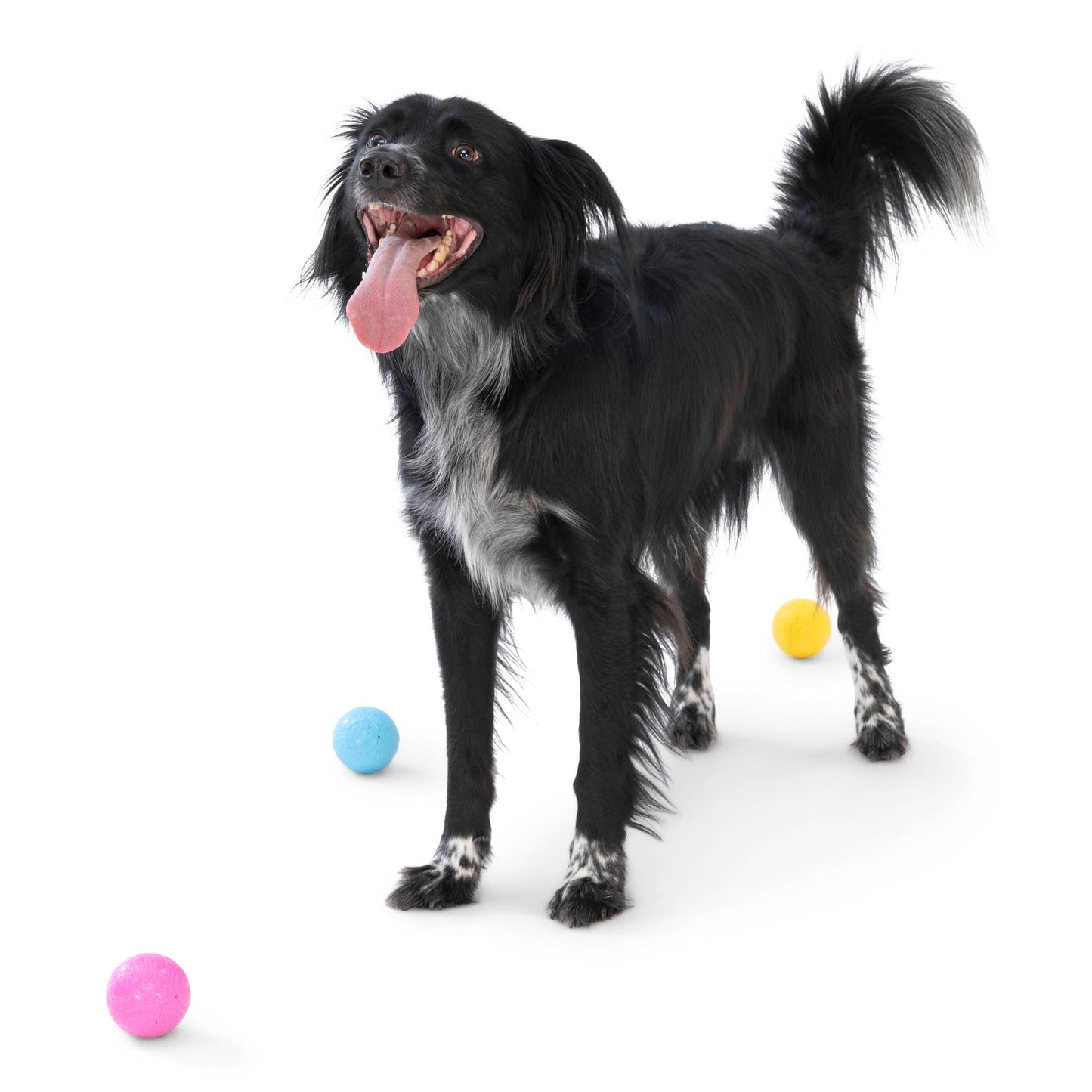 West Paw - Boundr® 2-Pack Dog Toy Ball for Play, Chew, and Fetch