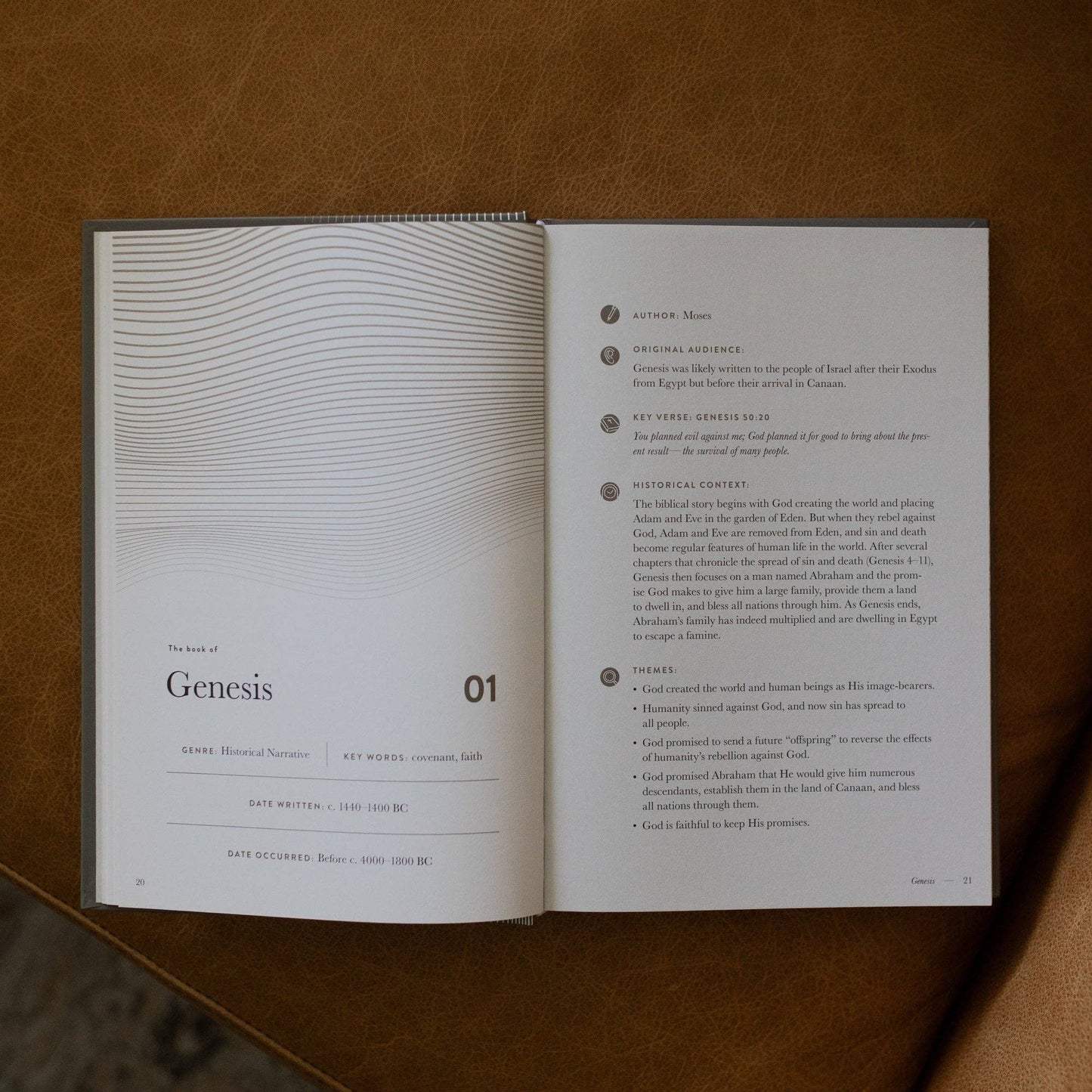 The Daily Grace Co - A Year in the Bible | Men's Study | 365 Days of Discovering the Beauty of Jesus from Genesis to Revelation | Volume 1