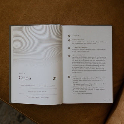 The Daily Grace Co - A Year in the Bible | Men's Study | 365 Days of Discovering the Beauty of Jesus from Genesis to Revelation | Volume 1