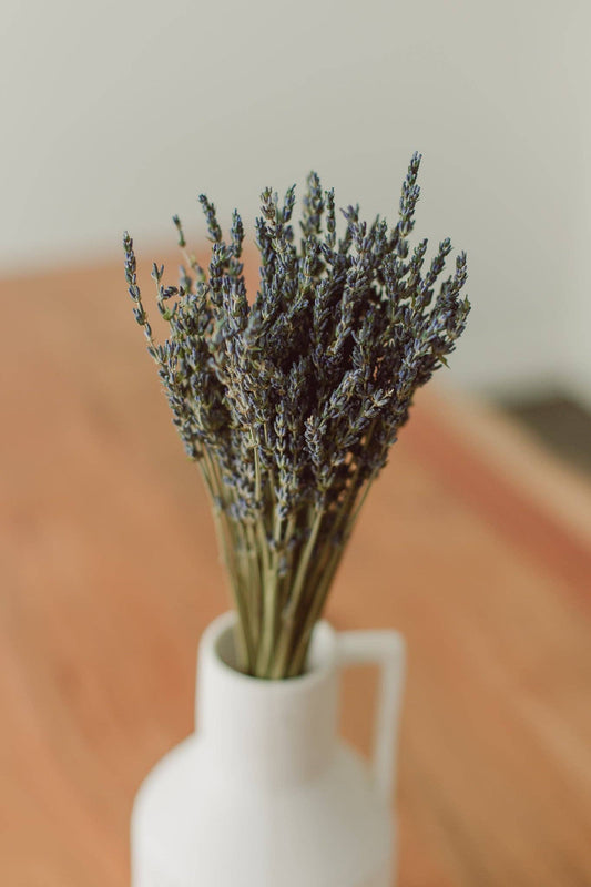 Eucalypt Co. - Lavender Bundle