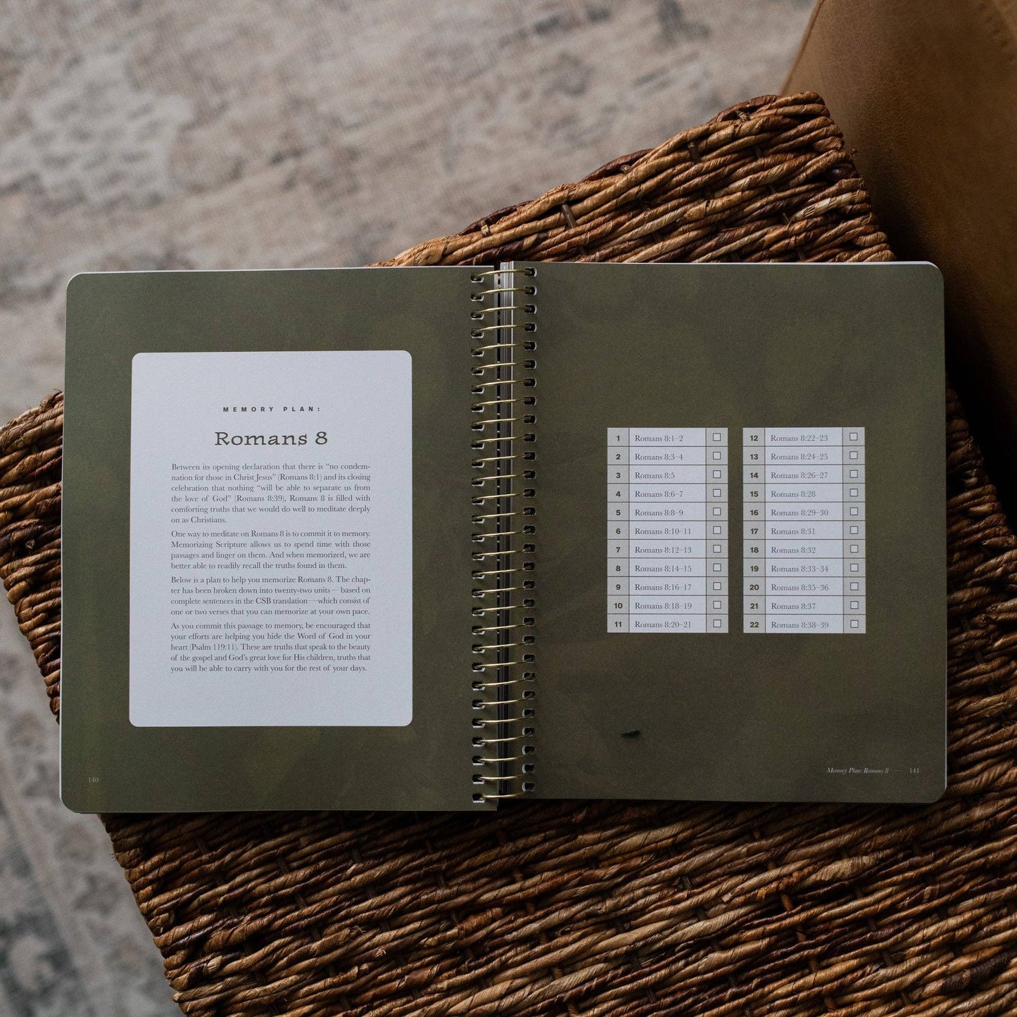 The Daily Grace Co - In Christ Alone: A Study on the Book of Romans - Men's