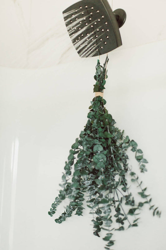 Eucalypt Co. - Eucalyptus Shower Bundle