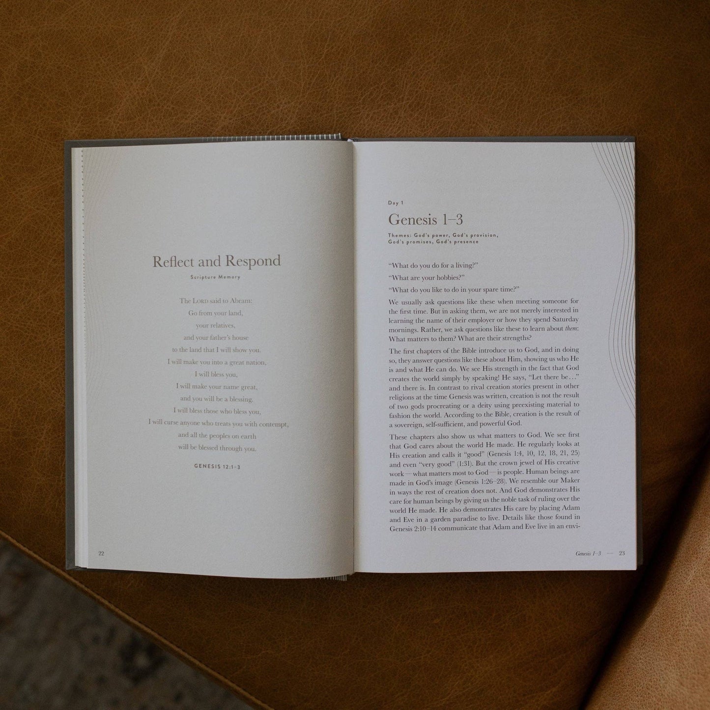 The Daily Grace Co - A Year in the Bible | Men's Study | 365 Days of Discovering the Beauty of Jesus from Genesis to Revelation | Volume 1