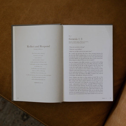 The Daily Grace Co - A Year in the Bible | Men's Study | 365 Days of Discovering the Beauty of Jesus from Genesis to Revelation | Volume 1