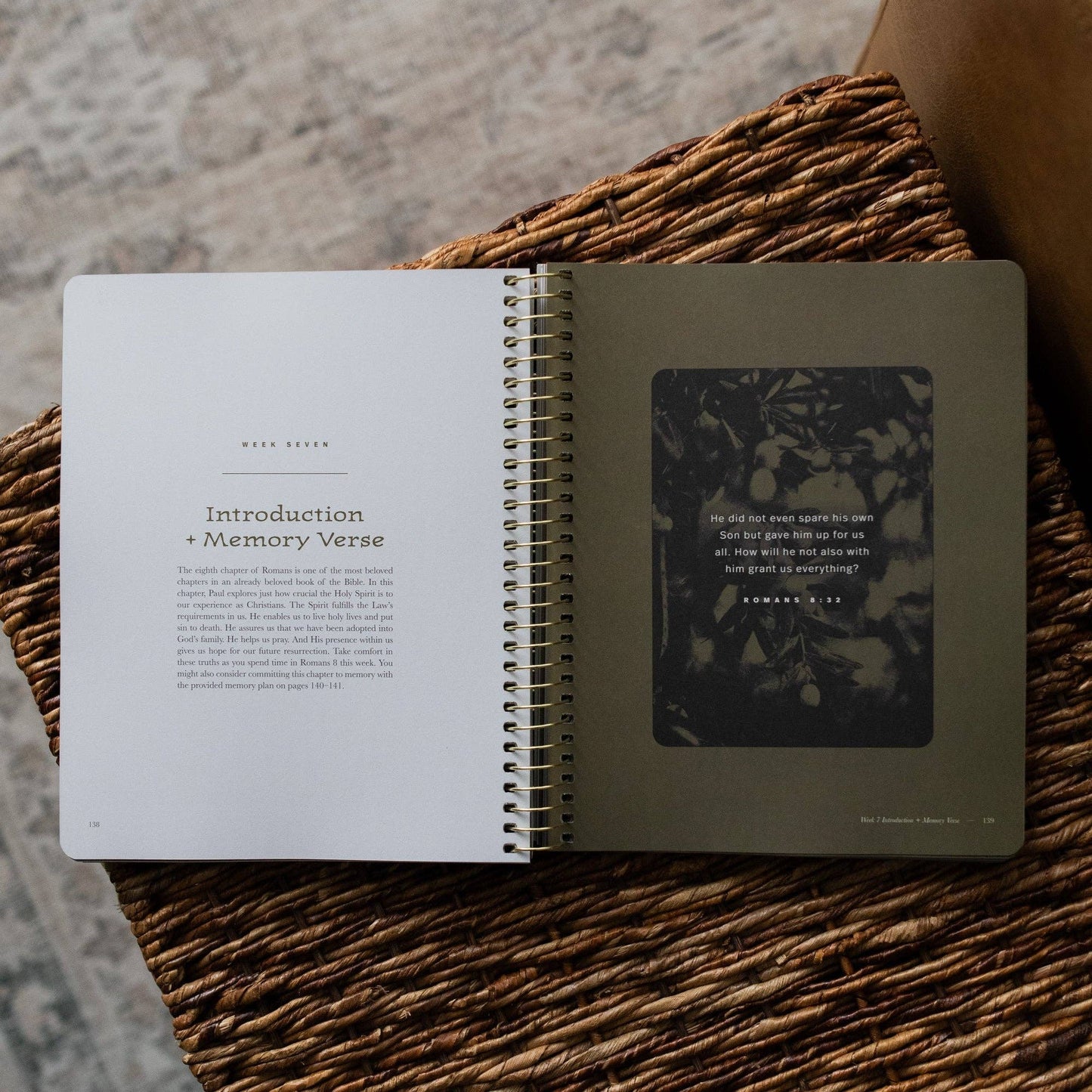 The Daily Grace Co - In Christ Alone: A Study on the Book of Romans - Men's