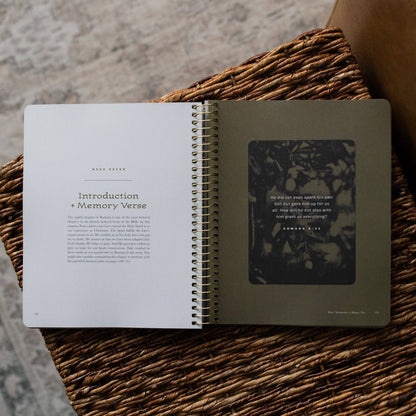 The Daily Grace Co - In Christ Alone: A Study on the Book of Romans - Men's