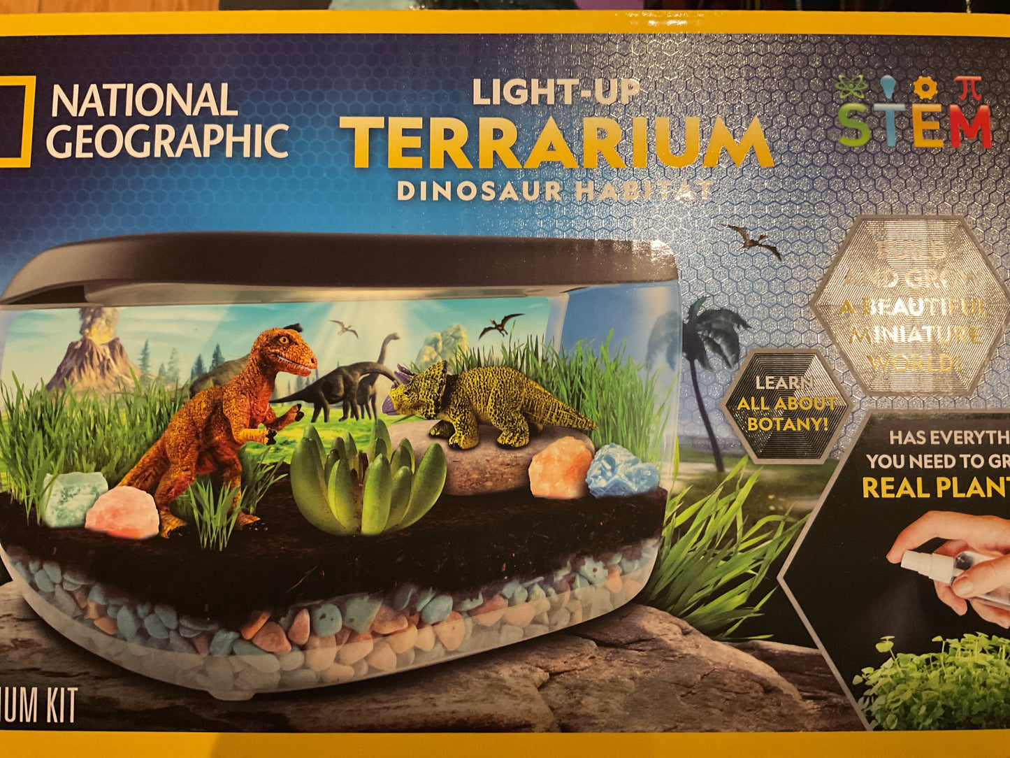 Light up terrarium dinosaur habitat