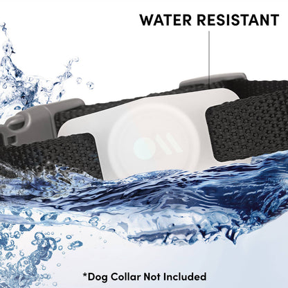 Case-Mate - AirTag Case for Dog Collars (Glow in the Dark) - AirTag Case