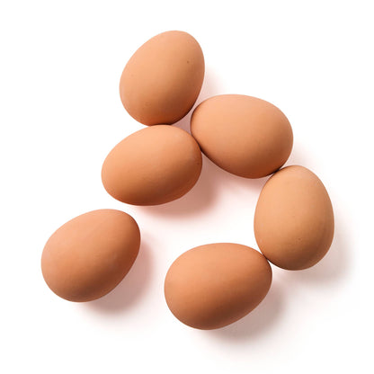 elseware unplug / eco-kids - Bouncy Eggs - Sensory Kid Toy - Egg-cellent Prank