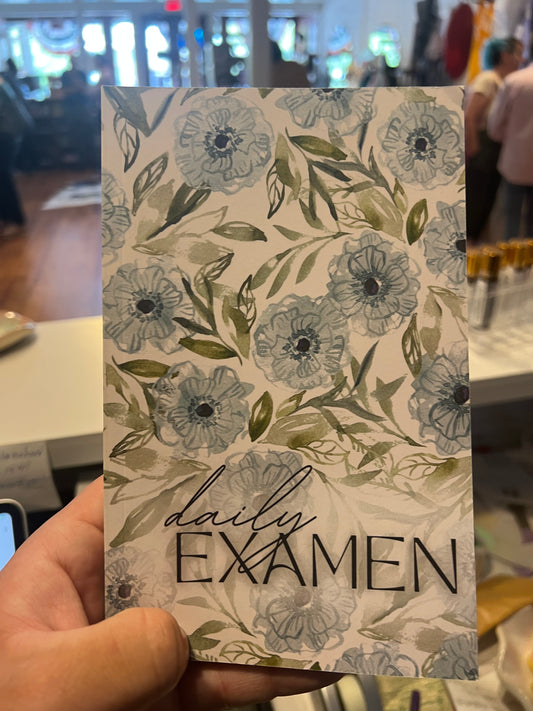 Daily Examen Diary