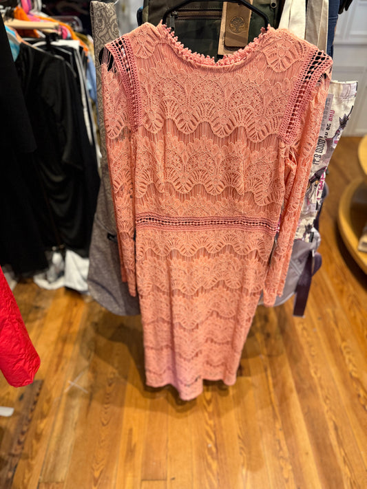Lace pink sheath dress