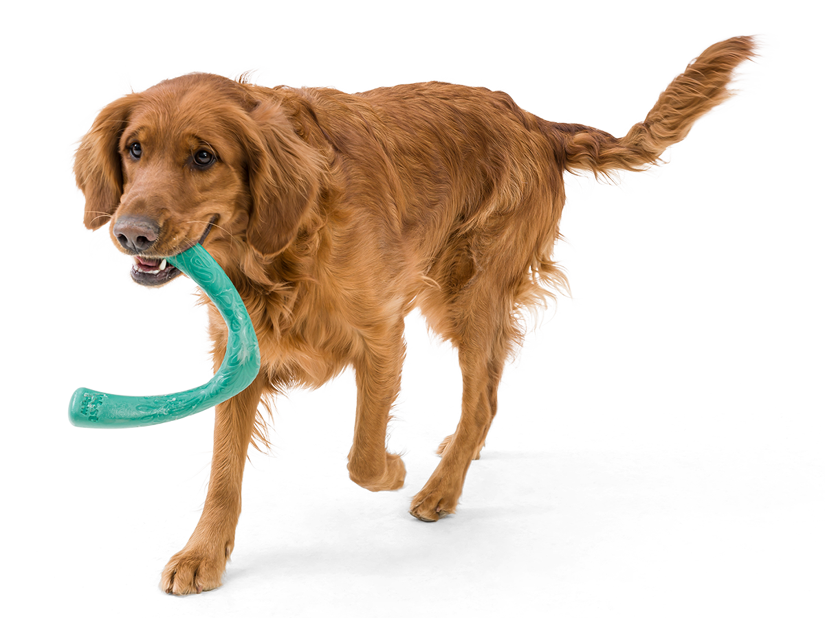 West Paw - Snorkl® Dog Toy for Play, Tug, and Fetch