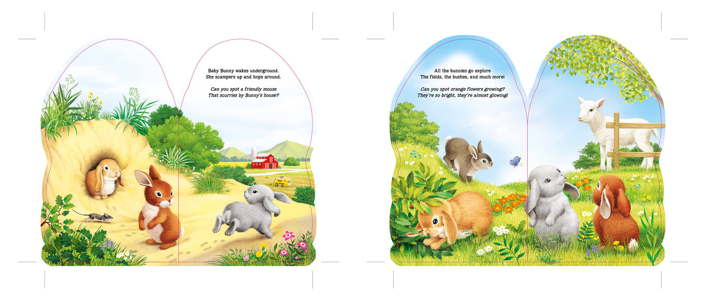Sourcebooks - Furry Bunny (BB)