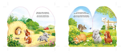 Sourcebooks - Furry Bunny (BB)
