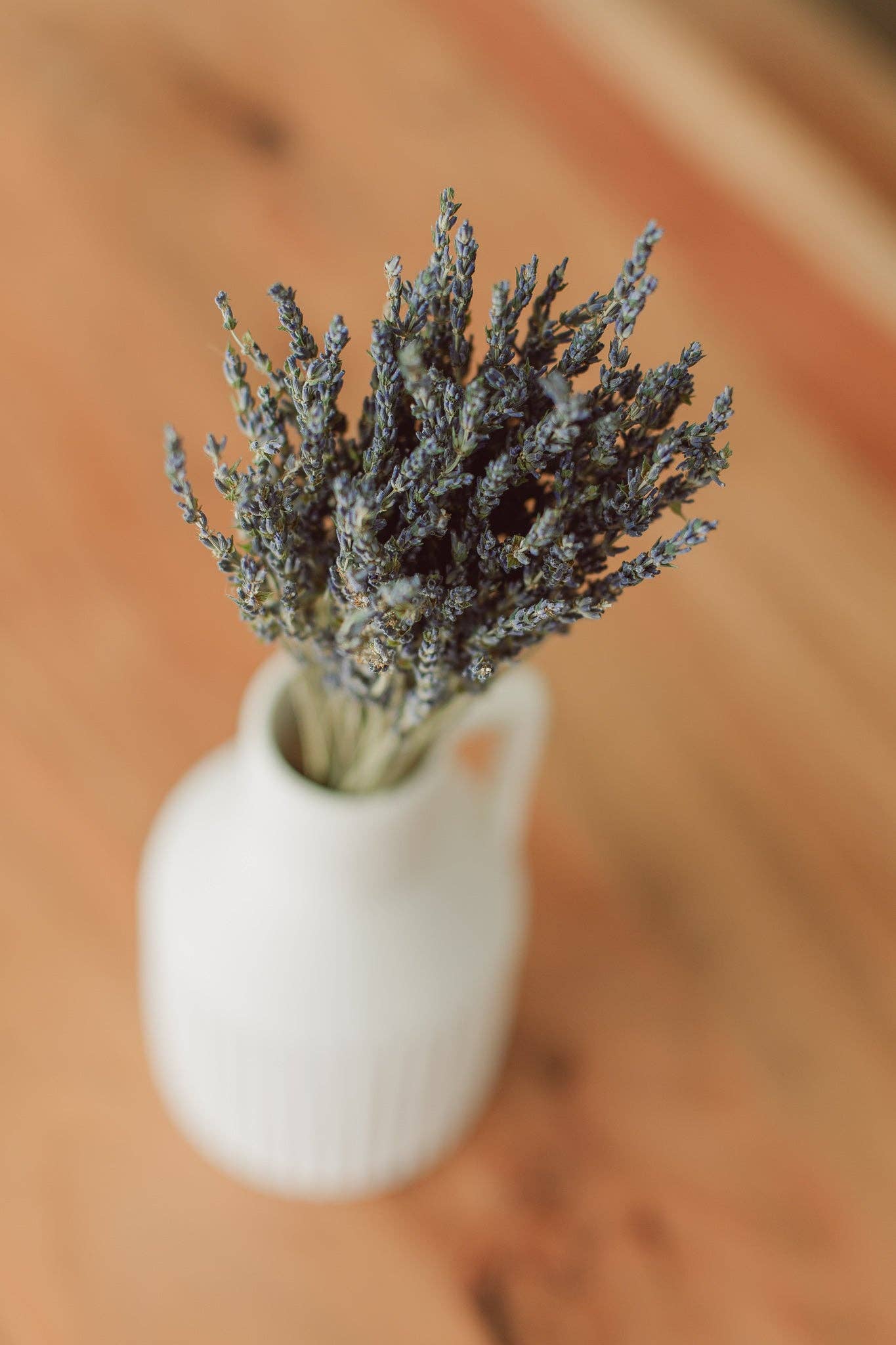 Eucalypt Co. - Lavender Bundle