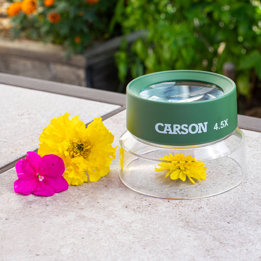 Carson - Pre-Focused Stand Magnifier Loupe for Kids, Insect Viewer