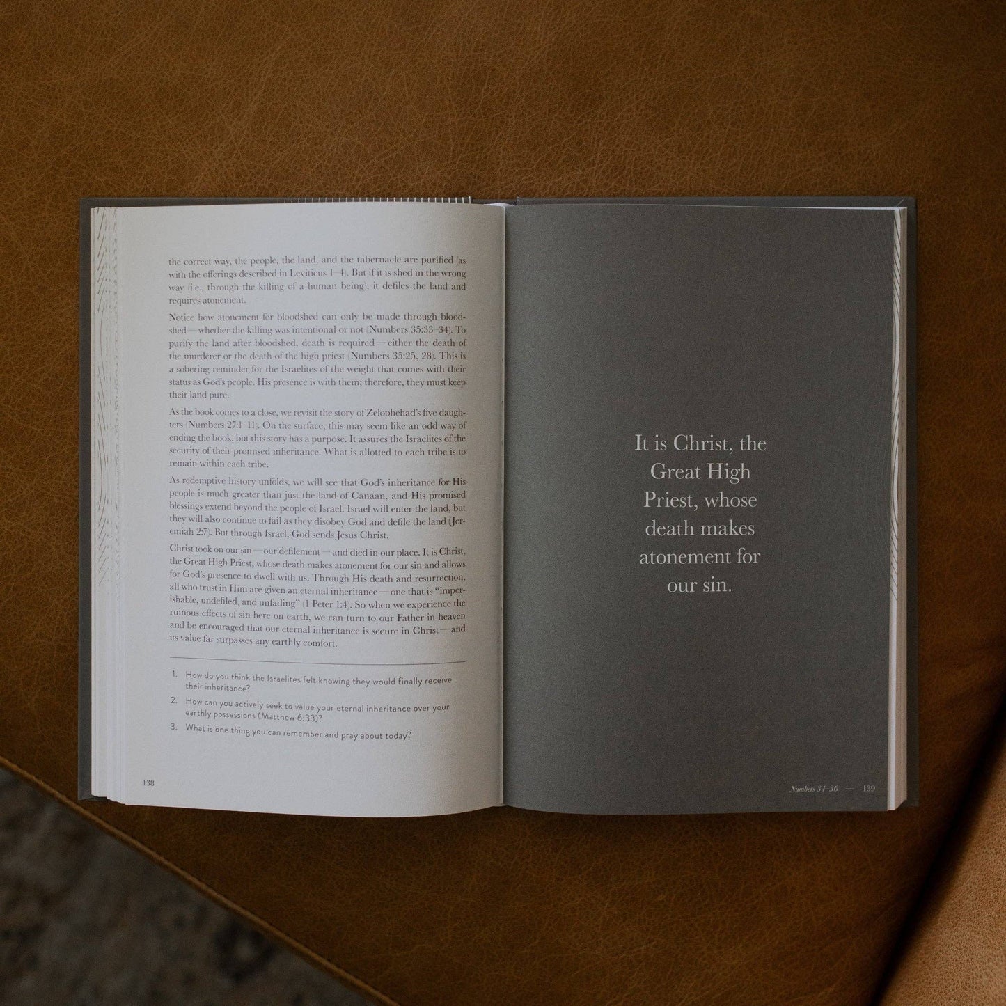 The Daily Grace Co - A Year in the Bible | Men's Study | 365 Days of Discovering the Beauty of Jesus from Genesis to Revelation | Volume 1