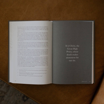 The Daily Grace Co - A Year in the Bible | Men's Study | 365 Days of Discovering the Beauty of Jesus from Genesis to Revelation | Volume 1