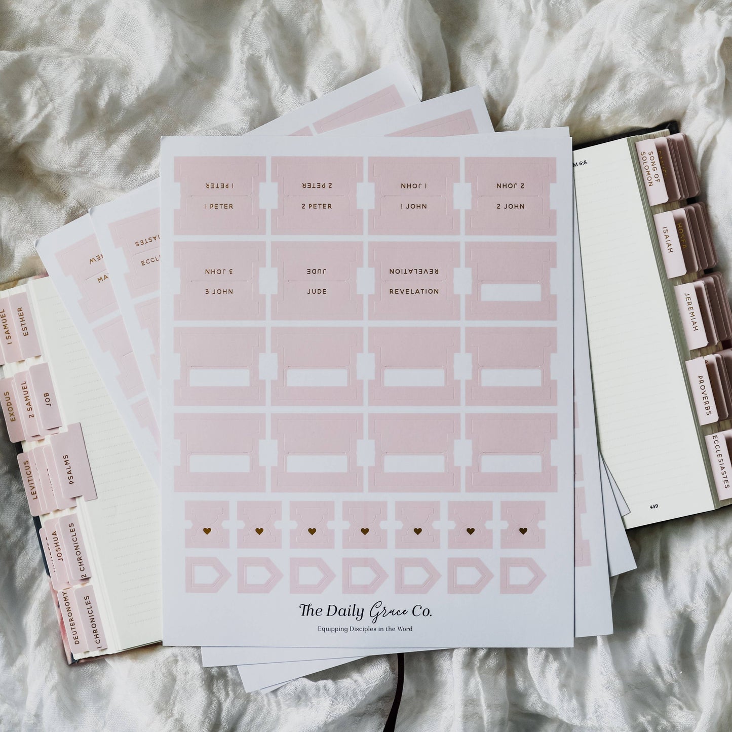 The Daily Grace Co - Blush Bible Tabs