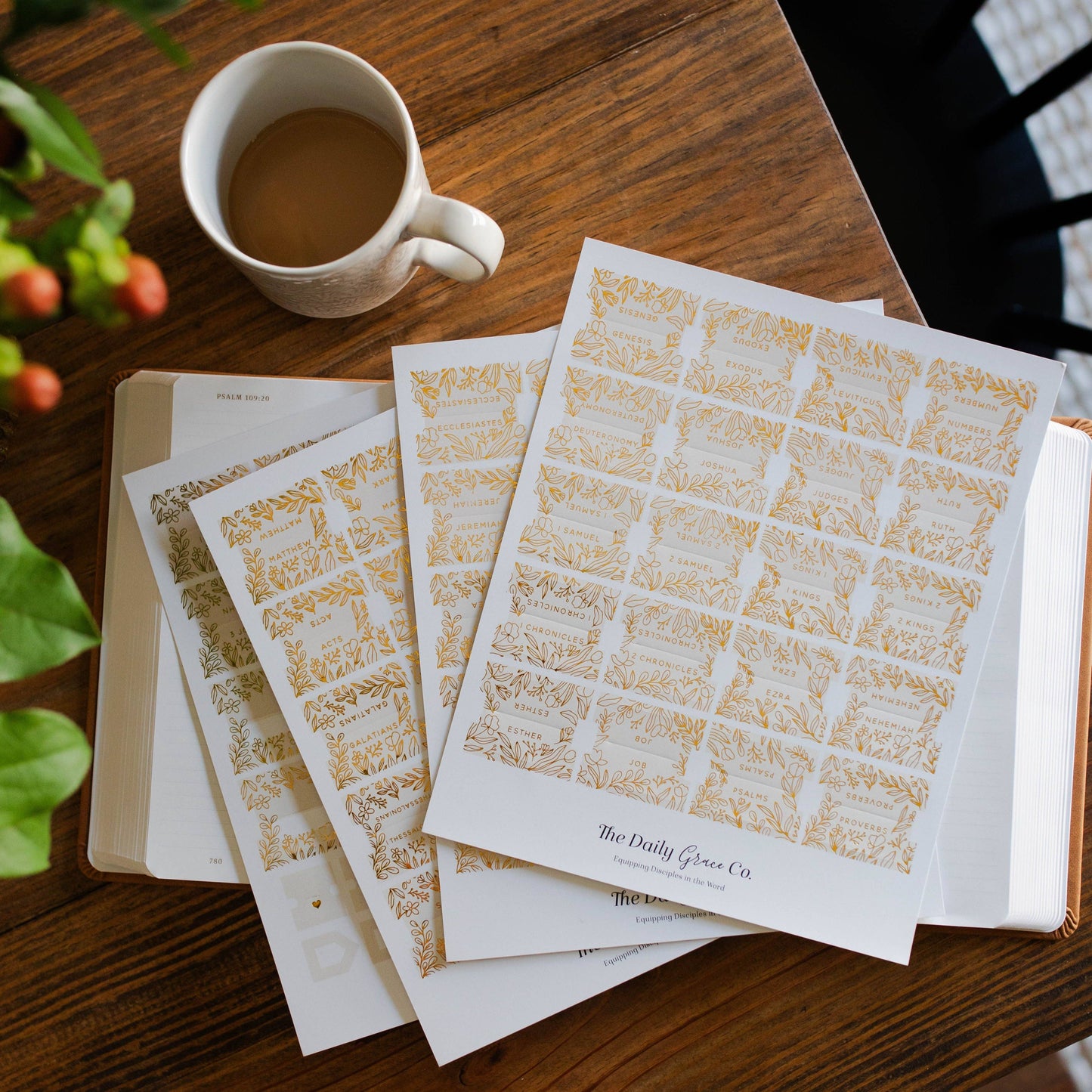 The Daily Grace Co - Gold Foil Bible Tabs - Cream