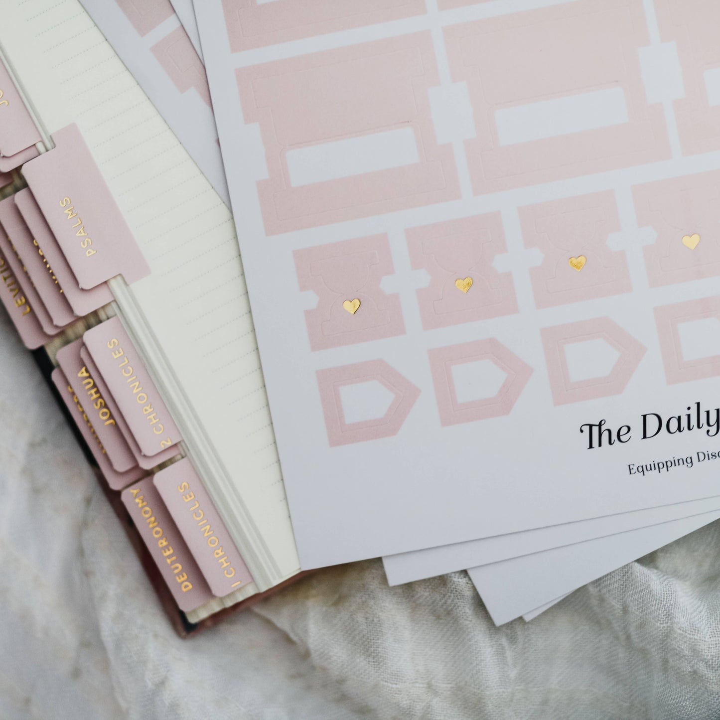 The Daily Grace Co - Blush Bible Tabs