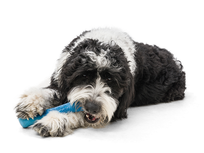 West Paw - Drifty® Dog Toy for Chew, and Fetch