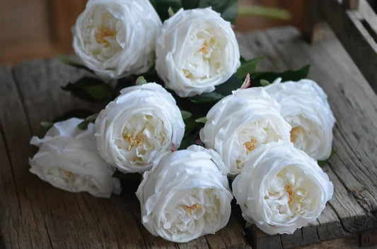 Angel Isabella - 17"Premium Real touch English Austin Cabbage Rose Stem
