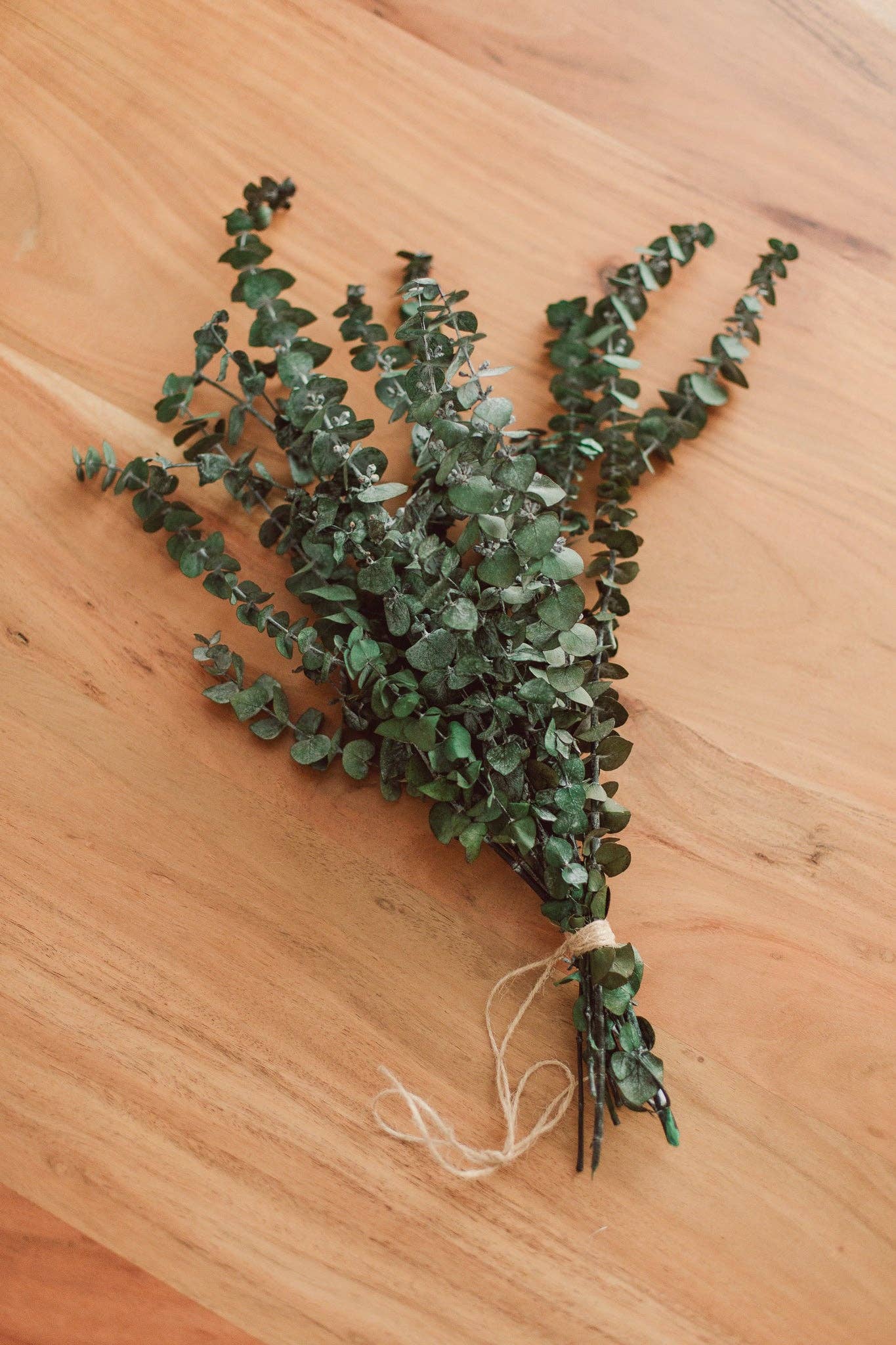 Eucalypt Co. - Eucalyptus Shower Bundle