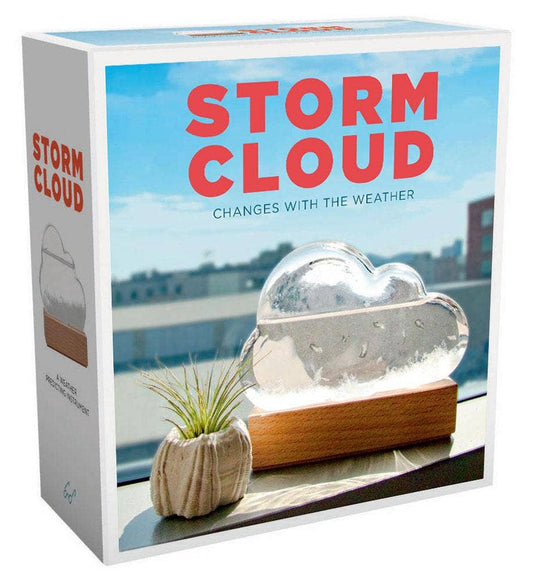 Chronicle Books - Storm Cloud