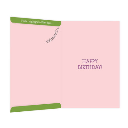 SEED PACKET Birthday Card | It's My Pawwty!