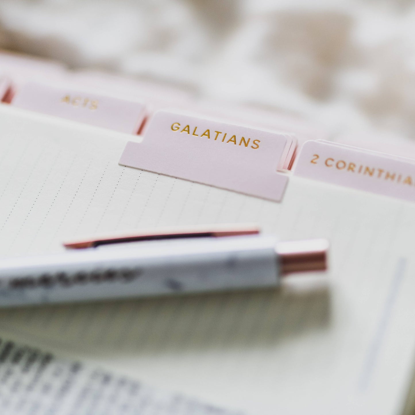 The Daily Grace Co - Blush Bible Tabs