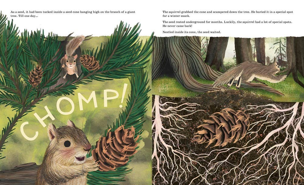 Sourcebooks - Listen to the Language of the Trees (TP)