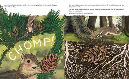 Sourcebooks - Listen to the Language of the Trees (TP)