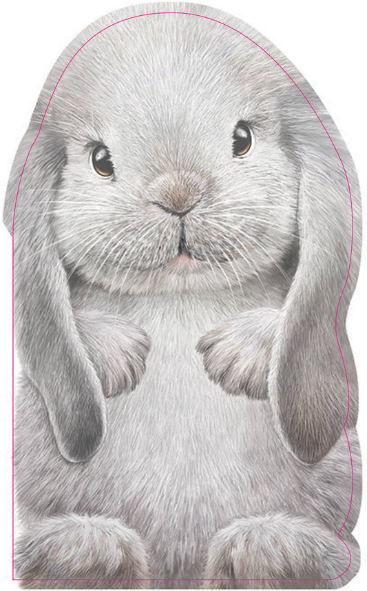 Sourcebooks - Furry Bunny (BB)