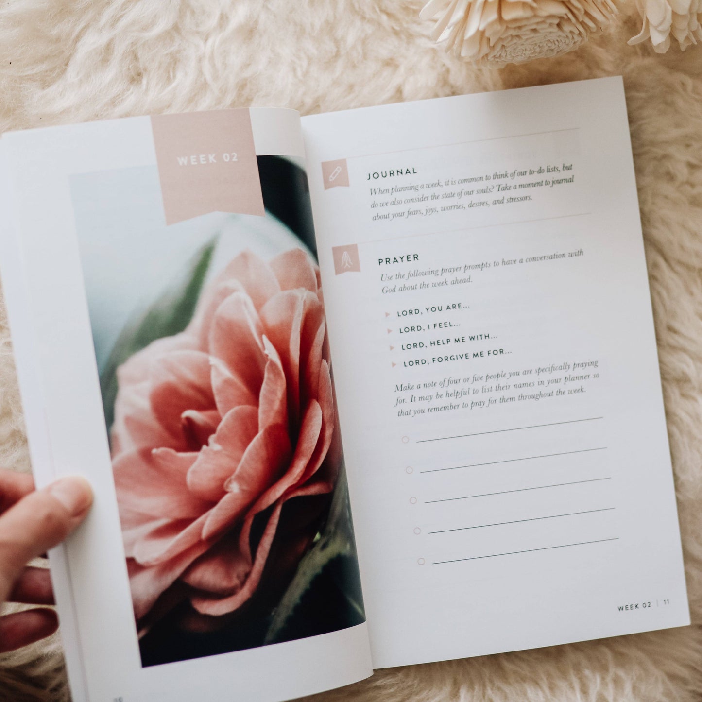 The Daily Grace Co - Fix Your Focus | A 52-Week Guide to Help You Put God First