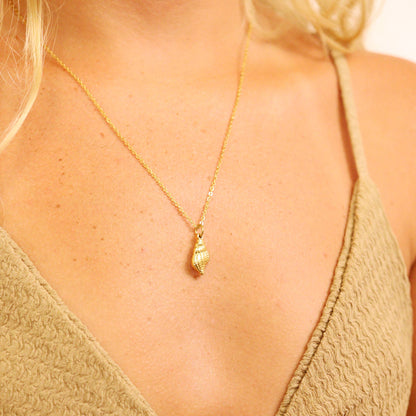 WJW - 18K Gold PVD Stainless Steel Conch Seashell Charm
