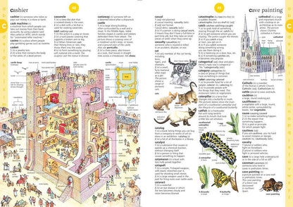HarperCollins - Illustrated Dictionary : Usborne