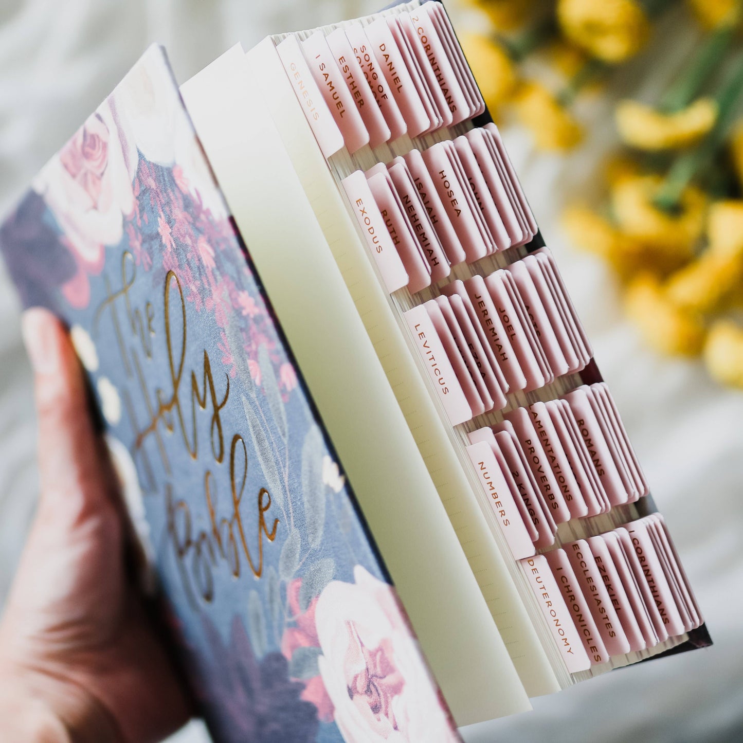 The Daily Grace Co - Blush Bible Tabs