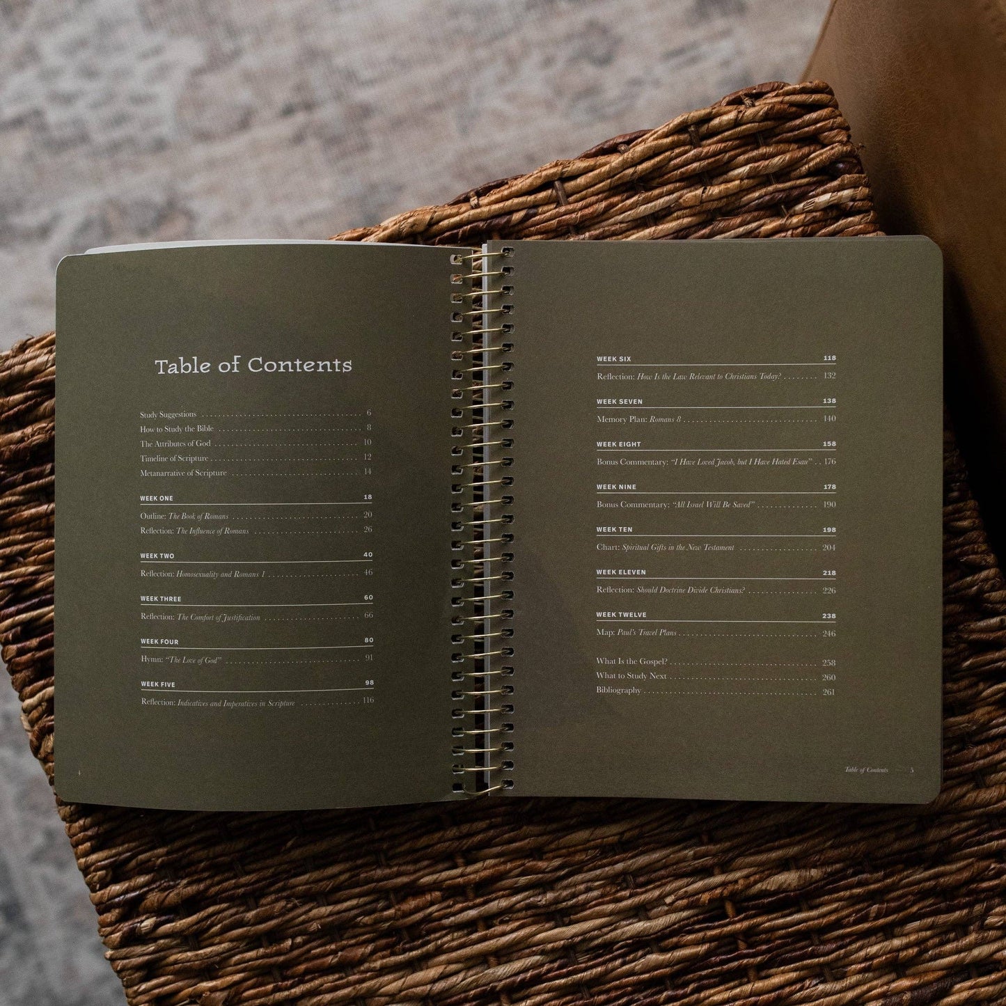 The Daily Grace Co - In Christ Alone: A Study on the Book of Romans - Men's