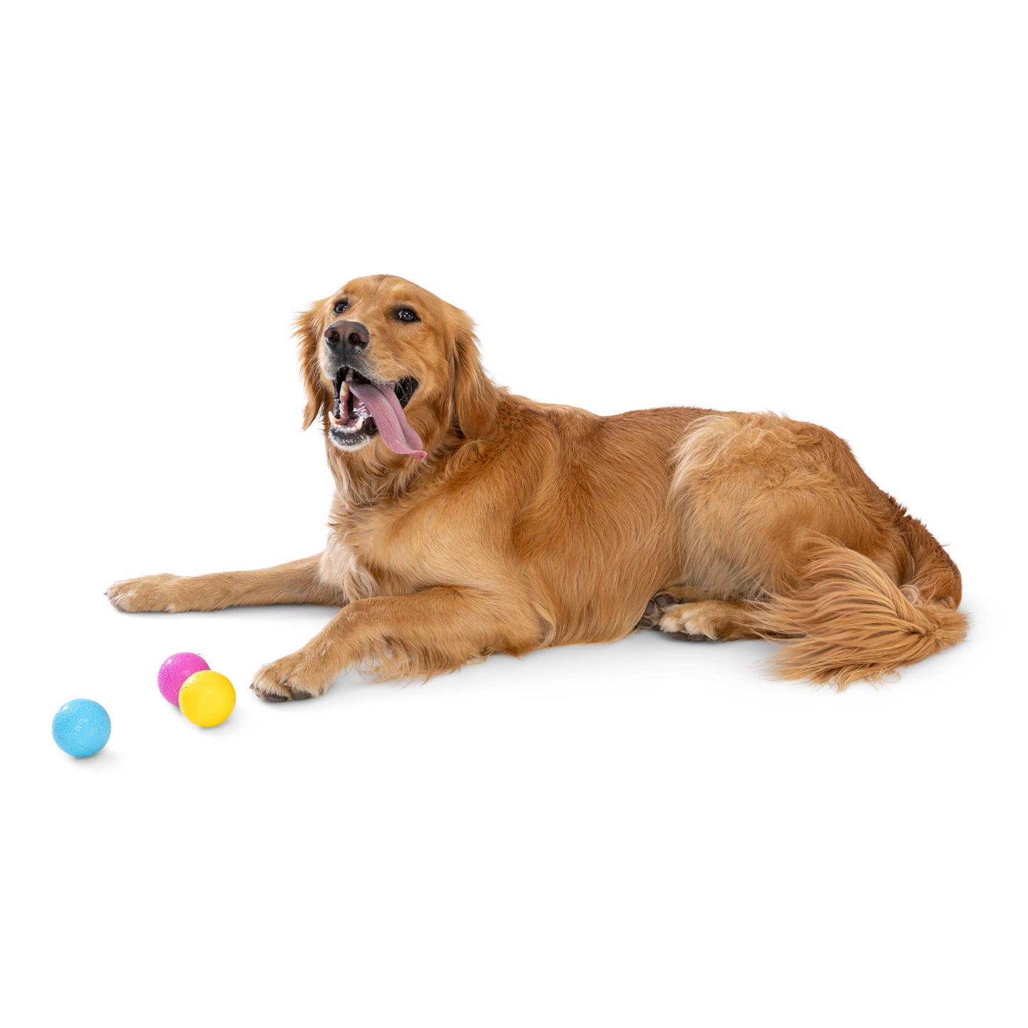 West Paw - Boundr® 2-Pack Dog Toy Ball for Play, Chew, and Fetch