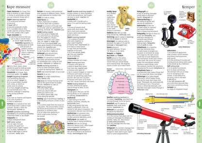 HarperCollins - Illustrated Dictionary : Usborne