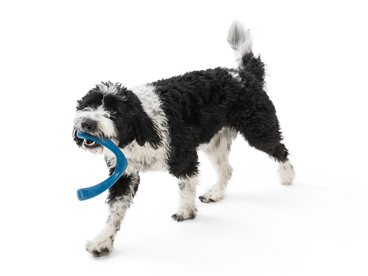 West Paw - Snorkl® Dog Toy for Play, Tug, and Fetch